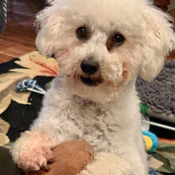 Meet your Posher, Alison - Picture 1 of 1